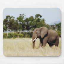African elephant bull mousepads