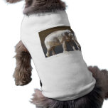 African Elephant pet clothing