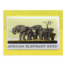 African Elephant Herd 1970 Postcards