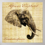 African elephant (no frame) print
