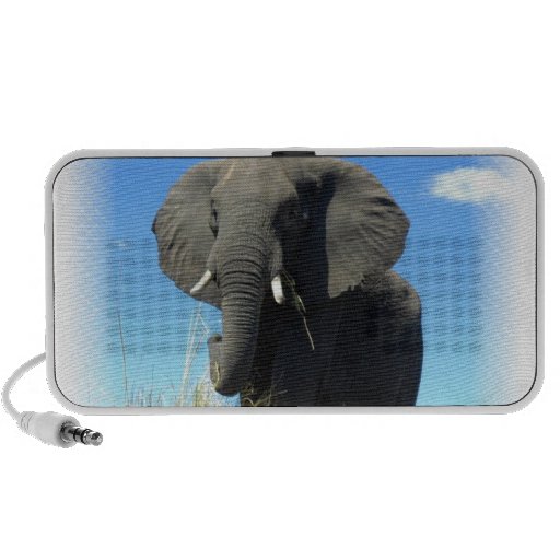 African Elephant Speakers