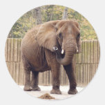 African Elephant Stickers