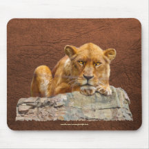 African Female Lion Art on a Wildlife Mousepad