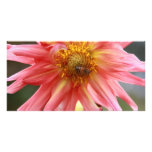 African Flower 04 Custom Photo Card