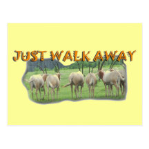 African Gazelles Just Walk Away Post Cards