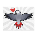 African Grey / Amazon / Parrot Love