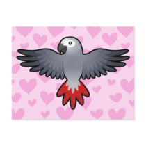 African Grey / Amazon / Parrot Love