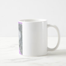 African Grey Coffee Mugs