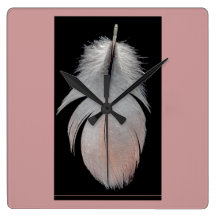 African Grey feather clock