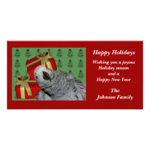 African Grey Parrot Animal Christmas Holiday Card Picture Card