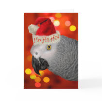African Grey Parrot Christmas Card Santa Hat