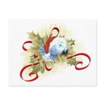 African Grey Parrot Christmas Postcards