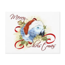 African Grey Parrot Christmas Postcards