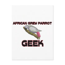 African Grey Parrot Geek Postcards