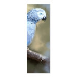 African Grey Parrot Portrait Bookmark Cards