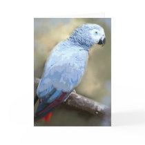 African Grey Parrot Portrait Cards