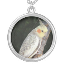 African Grey Parrot Sterling Necklace