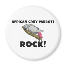 African Grey Parrots Rock Magnets