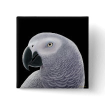 African Grey Pin