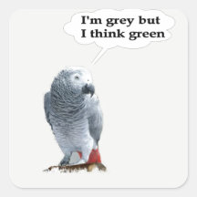 African Grey Thinks Green Sticker