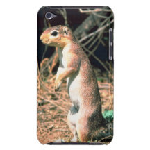 African Ground Squirrel iPod Touch Cover