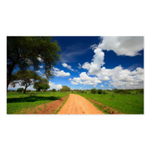 African landscape business card