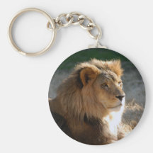 African Lion-6775e11x11 Keychain