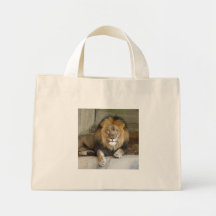 african-lion-b-2 canvas bag