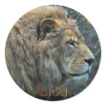 AFRICAN LION Big Five Big Cat Wildlife Stickers