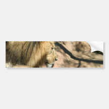 African Lion Bumper Sticker
