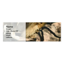 African Lion Business Card