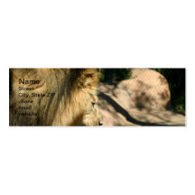 African Lion Business Card