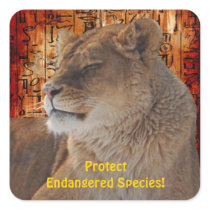 African Lion Endangered Species Wildlife Stickers