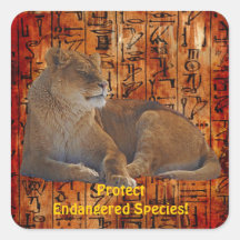 African Lion Endangered Species Wildlife Stickers