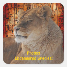 African Lion Endangered Species Wildlife Stickers