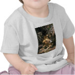 African Lion - Head Shot Of Very Big Male Shirts