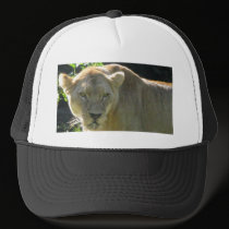 African lioness hats