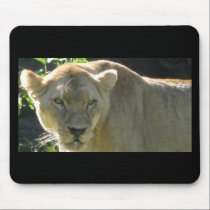 African lioness mousepads