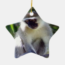 African Monkey Ornament