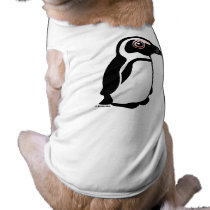African Penguin