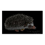 AFRICAN PIGMY HEDGEHOG BUSINESS CARDS