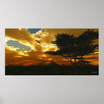 African Planes - Extreme Poster