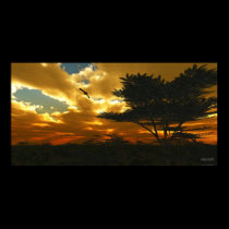 African Planes - Extreme posters