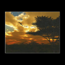 African Planes Postcard postcards