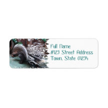 African Porcupine Mailing Labels