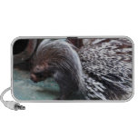 African Porcupine Portable Speakers