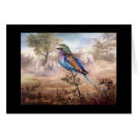 African Roller Blank Card