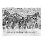 African Safari Zebra Funny Birthday Invitation
