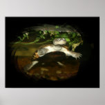 African Side Necked Turtle Photograph Print