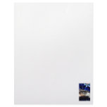 African Sideneck Turtle Looking at camera Letterhead